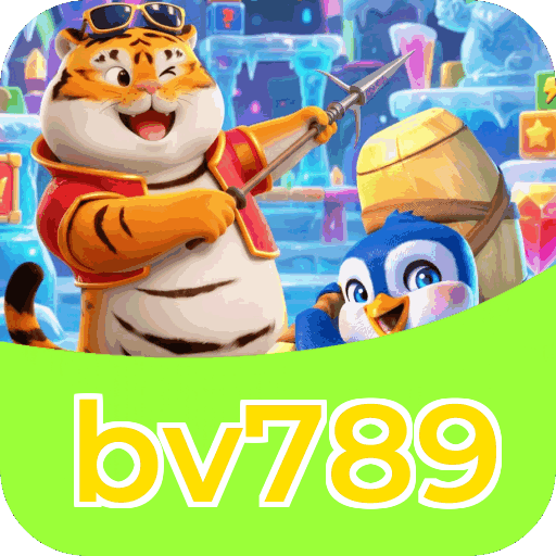 Métodos de pagamento aceitos na bv789